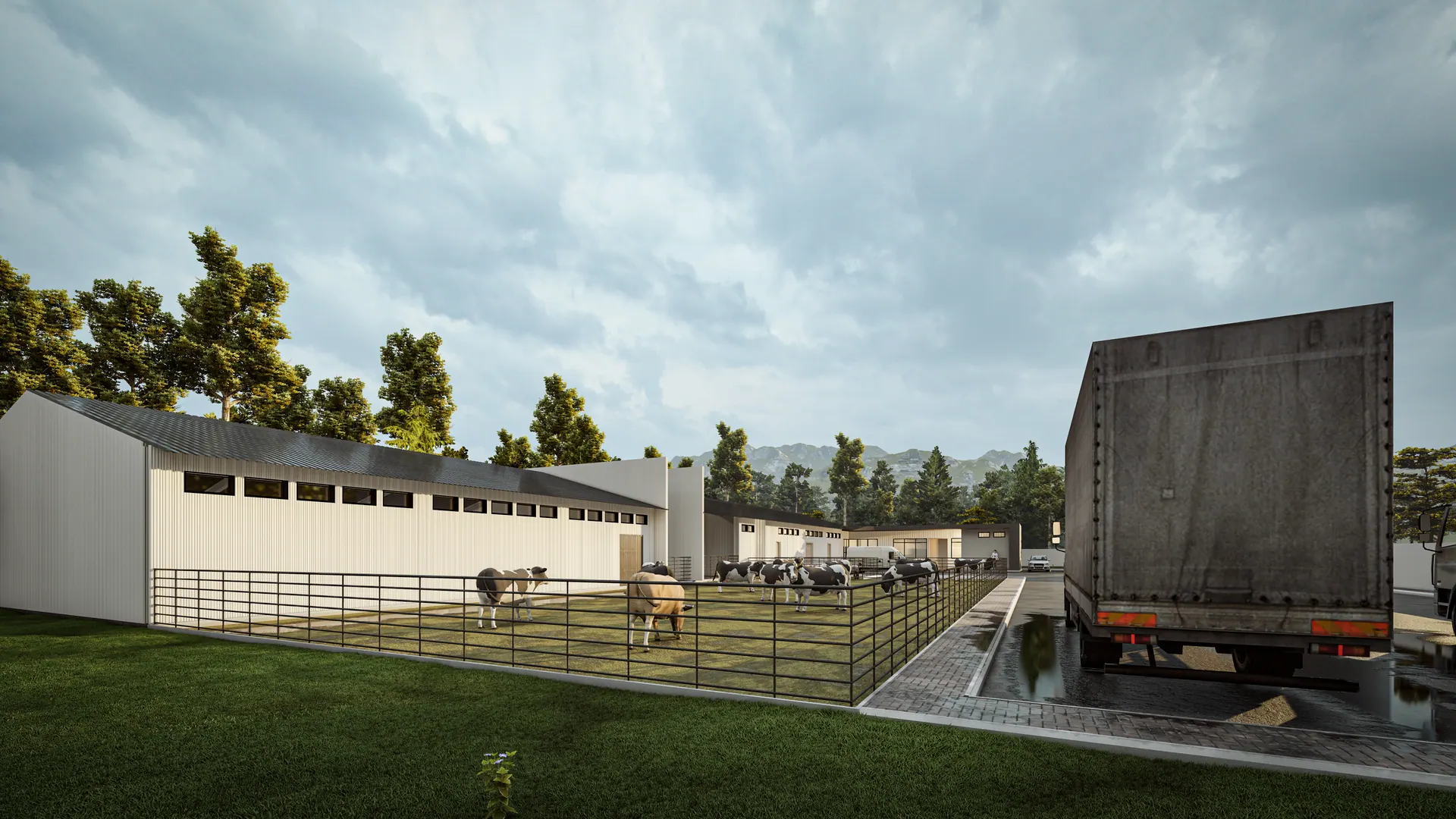 Slaughterhouse, photograph 4